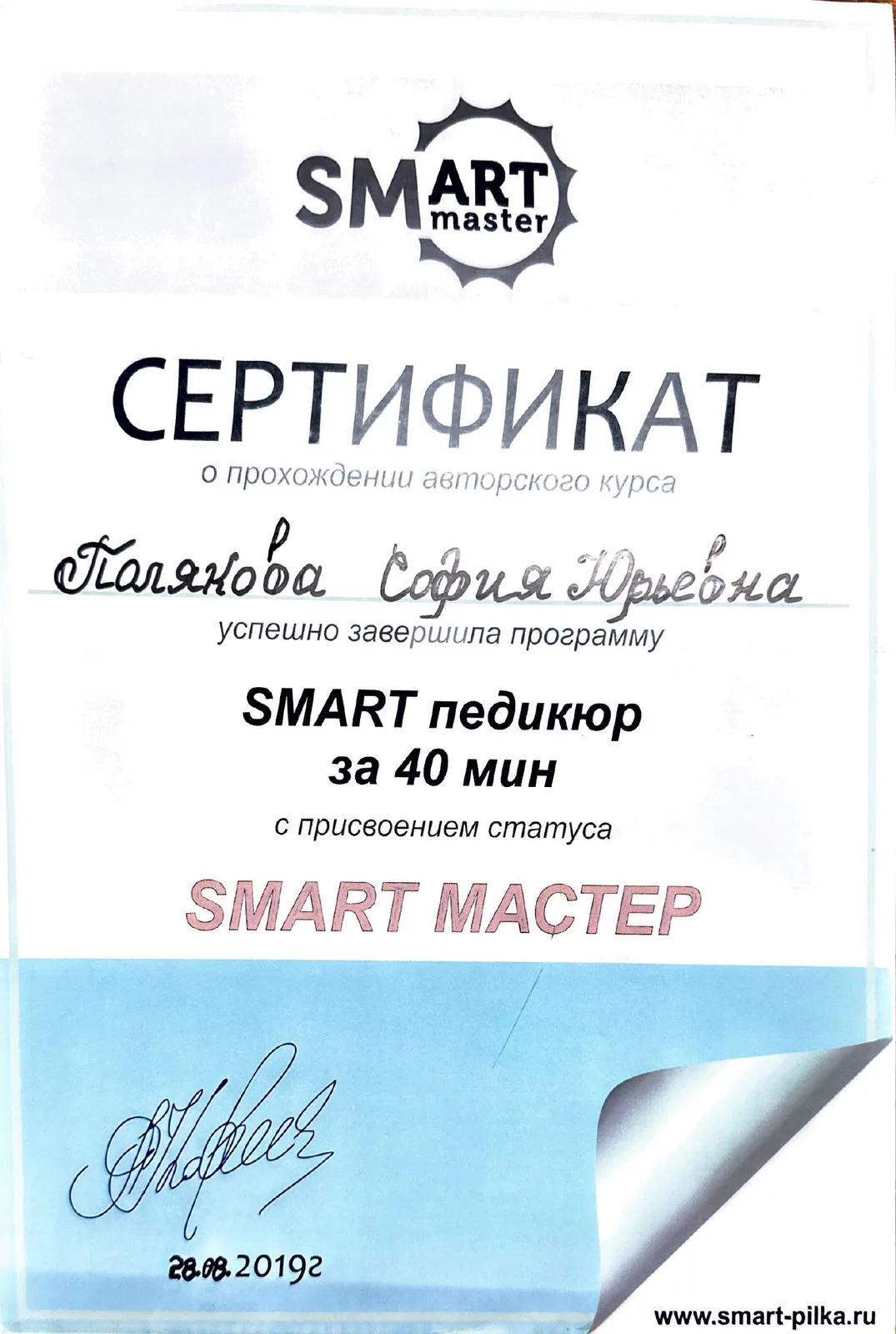 SMART педагог